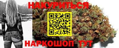 метадон Новодвинск