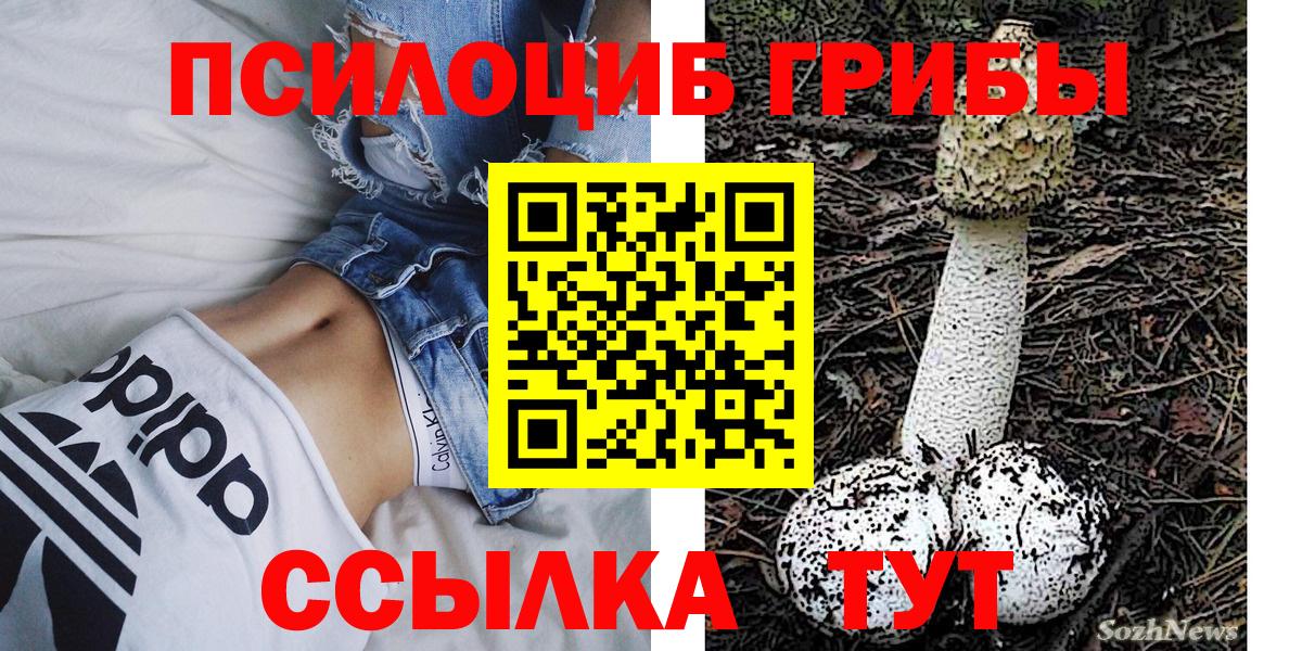 Галлюциногенные грибы Magic Shrooms Тамбов
